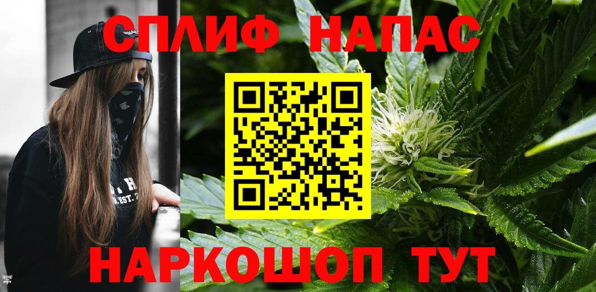 Бошки Шишки семена Тамбов